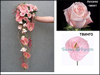 www.floristic.ru - . !!!!!