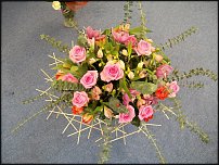 www.floristic.ru - .   