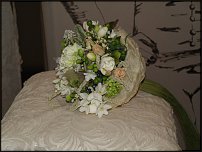 www.floristic.ru - .  .