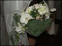 www.floristic.ru - .  .