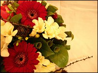 www.floristic.ru - .    !!!