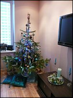 www.floristic.ru - .  -2011 -   