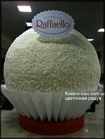 www.floristic.ru - . 