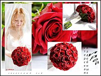 www.floristic.ru - .    