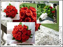 www.floristic.ru - .    