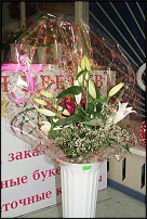 www.floristic.ru - .  