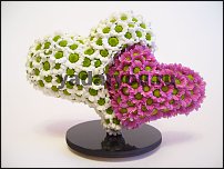 www.floristic.ru - .  