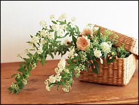 www.floristic.ru - .  .