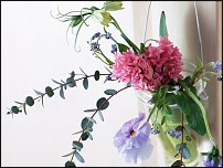 www.floristic.ru - .  .