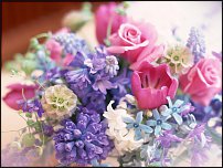 www.floristic.ru - .  .