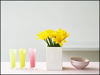 www.floristic.ru - .  .