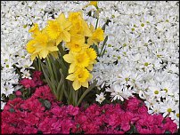 www.floristic.ru - .  .
