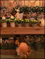 www.floristic.ru - . "shabby shick"    ...