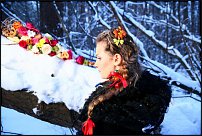 www.floristic.ru - . .      .