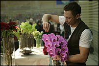 www.floristic.ru - .  