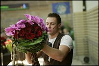 www.floristic.ru - .  