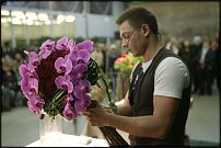 www.floristic.ru - .  