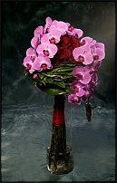 www.floristic.ru - .  