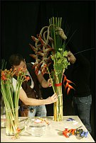 www.floristic.ru - .  