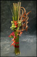 www.floristic.ru - .  