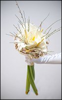 www.floristic.ru - .    !!!