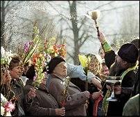 www.floristic.ru - .    (   , , )