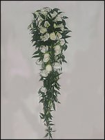www.floristic.ru - .  