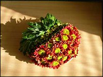 www.floristic.ru - .  