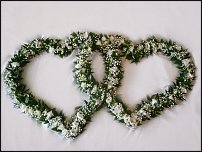 www.floristic.ru - .  