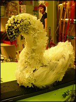 www.floristic.ru - .   ....