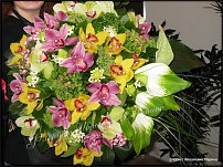 www.floristic.ru - . 