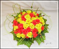 www.floristic.ru - .     -,  ..