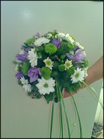 www.floristic.ru - .  