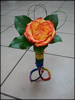 www.floristic.ru - .    !!!