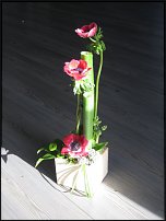 www.floristic.ru - .  