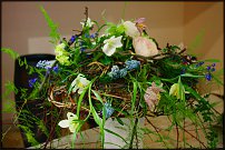 www.floristic.ru - .  .