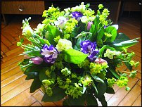 www.floristic.ru - .  .