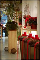 www.floristic.ru - .       - ?