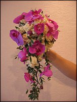 www.floristic.ru - .    