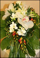 www.floristic.ru - .   