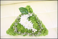 www.floristic.ru - .  