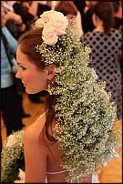 www.floristic.ru - .    