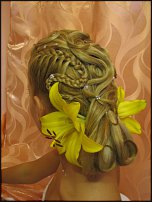 www.floristic.ru - .    
