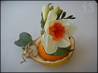 www.floristic.ru - .  - 2011 -  