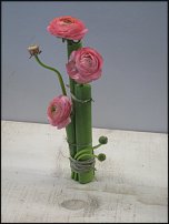 www.floristic.ru - .  .