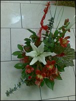 www.floristic.ru - .  .