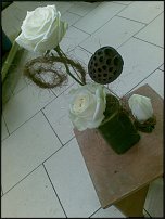 www.floristic.ru - .  .