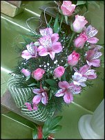 www.floristic.ru - .  .