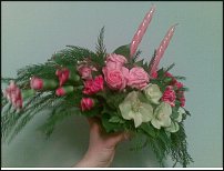 www.floristic.ru - .  