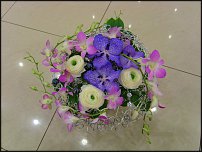 www.floristic.ru - .   